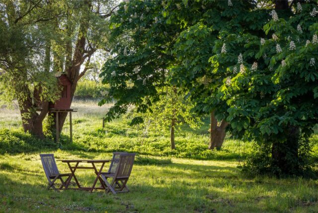 Eine Tisch und Gartenstühle auf einer Wiese im Freien im Schatten von Bäumen.