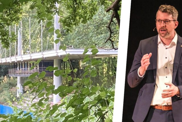 Die Natur erobert immer größere Bereiche des Jahnstadions zurück. CDU-Vorsitzender Thomas Terhorst