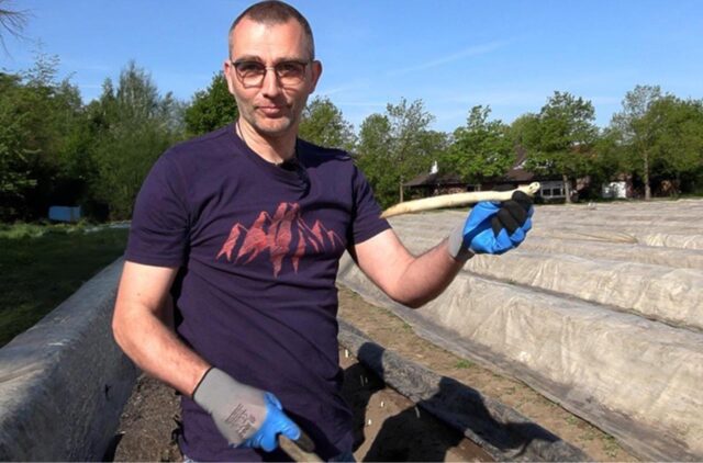 Unser Reporter Jürgen Bröker hat seinen ersten Spargel auf dem Hof Brauckmann-Berger in Datteln selbst geerntet.