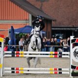Christina Friedrich vom LZRFV Marl zeigt mit Loriot in beiden M-Springen eine gute Leistung und platziert sich weit vorn.
