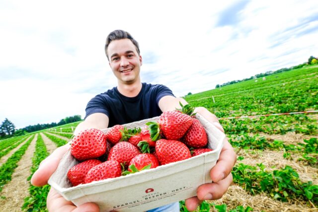 Johannes Wuttke vom Hof Schulte-Holthausen in Recklinghausen hält eine Schale mit Erdbeeren in die Kamera