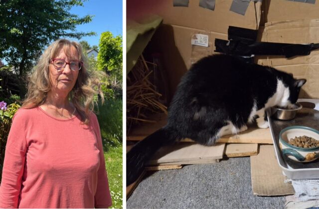 Das Bild zeigt eine Frau im Freien neben einem Foto einer Katze, die in einer behelfsmäßigen Unterkunft frisst, die aus Kartons und anderem Material besteht. Die Katze ist schwarz-weiß und es sind mehrere Schalen mit Futter und Wasser zu sehen.