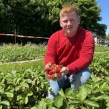 Theo Niermann (20) kniet im Erdbeerfeld in Castrop-Rauxel Merklinde und präsentiert Erdbeeren.