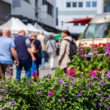 Blumen auf der Jakobstraße, im Hintergrund unscharf Menschen.