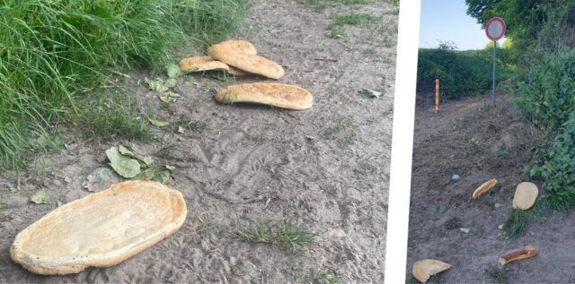 Weg geworfenes Fladenbrot liegt auf einem Weg in Oer-Erkenschwick herum.