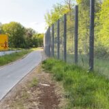 Die Fledermaus-Überflughilfe an der B474n zwischen Waltrop und Datteln.
