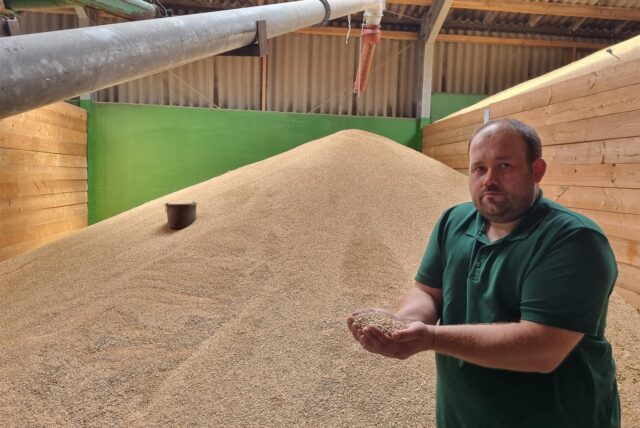 Landwirt Martin Aulke steht in seiner Getreide-Lagerhalle und hält Getreidekörner in seinen Händen.