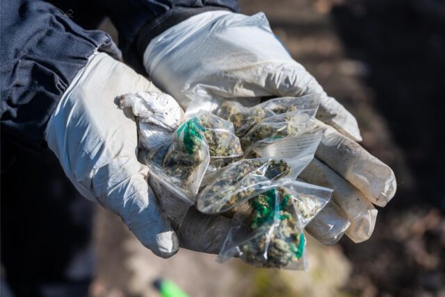 Zwei Hände in weißen Plastikhandschuhen präsentieren mehrere kleine Tütchen mit Cannabis.