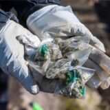 Zwei Hände in weißen Plastikhandschuhen präsentieren mehrere kleine Tütchen mit Cannabis.