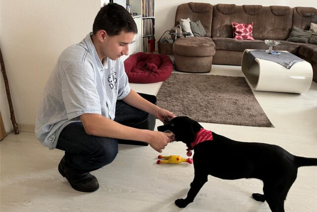 Ein Teenager spielt in einem Wohnzimmer mit einem schwarzen Hund, der ein Spielzeug im Maul hat.