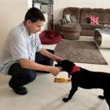 Ein Teenager spielt in einem Wohnzimmer mit einem schwarzen Hund, der ein Spielzeug im Maul hat.