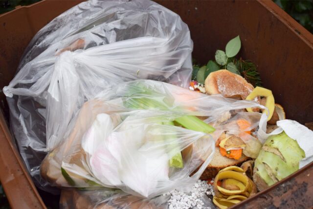 Plastiktüten liegen in einer Biotonne.