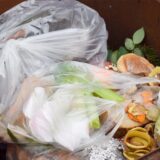 Plastiktüten liegen in einer Biotonne.