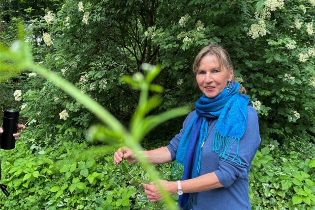 Diplom-Biologin Ursula Stratmann zeigt japanischen Staudenknöterich im Katzenbusch in Herten-Süd.