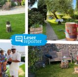 Der Frühsommer hat Dortmund in ein grünes Paradies verwandelt – das zeigen auch die vielen Einsendungen unserer LeserReporter!