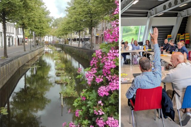 Pflanzinseln auf Gracht
