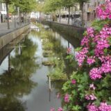 Pflanzinseln auf Gracht