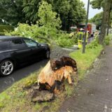 Fast getroffen: Das Auto kam kurz vor dem Baum zum Stehen.