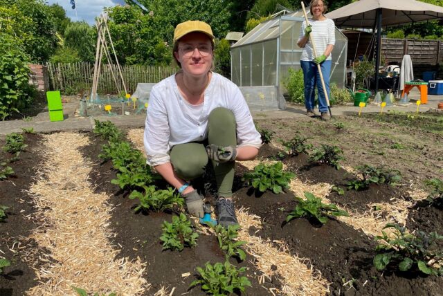 Susanna Schmidt in einem Hertener Kleingarten auf einem Beet mit Kartoffelpflanzen.