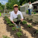 Susanna Schmidt in einem Hertener Kleingarten auf einem Beet mit Kartoffelpflanzen.