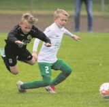 Pfingstturnier 2025 bei SW Röllinghausen