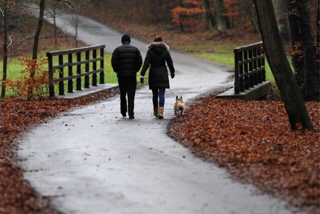 Ein Paar mit Hund geht im Herbst spazieren.