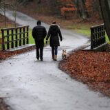Ein Paar mit Hund geht im Herbst spazieren.