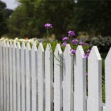 Ein weißer Gartenzaun, dahinter Blumen und Bäume