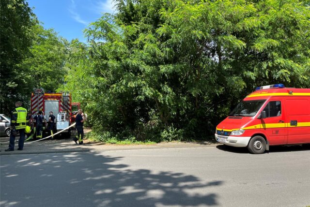 Feuerwehrleute am Einsatzort.
