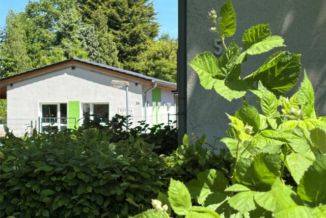 Warum haben so viele Erzieherinnen die Kita Volltreffer in wenigen Wochen verlassen? Es gibt Vorwürfe, die längst beim Jugendamt und beim Träger gelandet sind, sagen die einen. Der Träger sagt, anonyme Hinweise seien nicht sachdienlich.