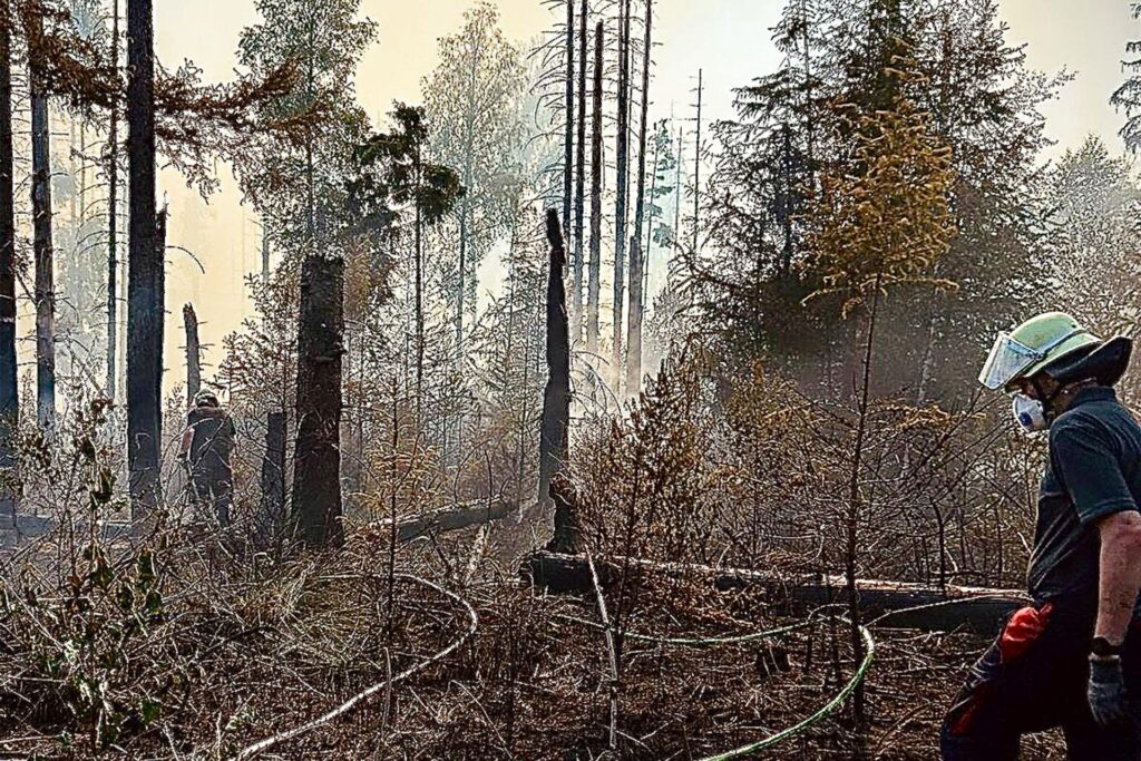 Dieses von den Feuerwehren im Kreis Soest zur Verfügung gestellte Foto zeigt die aufwendigen Löscharbeiten bei einem Waldbrand von 30.000 Quadratmetern am Möhnesee im Kreis Soest. Das Feuer war am späten Abend unter Kontrolle gebracht worden und habe sich seither nicht weiter ausgedehnt, wie die Feuerwehr mitteilte. Dieses von den Feuerwehren im Kreis Soest zur Verfügung gestellte Foto zeigt die aufwendigen Löscharbeiten bei einem Waldbrand von 30.000 Quadratmetern am Möhnesee im Kreis Soest. Das Feuer war am späten Abend unter Kontrolle gebracht worden und habe sich seither nicht weiter ausgedehnt, wie die Feuerwehr mitteilte.