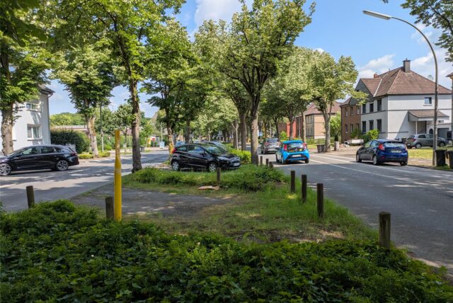 Eine Straße mit parkenden Autos und Wohnhäusern ist an einem sonnigen Tag zu sehen. Baumreihen säumen die Straße, die mit üppigem Grün bewachsen ist.