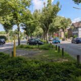 Eine Straße mit parkenden Autos und Wohnhäusern ist an einem sonnigen Tag zu sehen. Baumreihen säumen die Straße, die mit üppigem Grün bewachsen ist.
