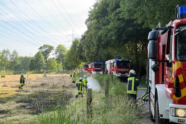 Mit zwei Löschzügen bekämpfte die Dorstener Feuerwehr einen Flächenbrand in Dorsten.