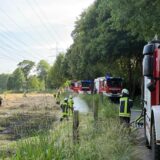 Mit zwei Löschzügen bekämpfte die Dorstener Feuerwehr einen Flächenbrand in Dorsten.