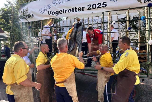 Sie haben ihn endlich wieder: Sappeure heben „Klausarah ex castris Romanis“ vom Wagen der Schanzenbauer. Hinter Birkenstämmen eingepfercht: Die Vogeldiebe aus Dülmen.