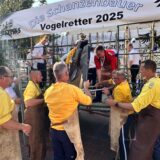 Sie haben ihn endlich wieder: Sappeure heben „Klausarah ex castris Romanis“ vom Wagen der Schanzenbauer. Hinter Birkenstämmen eingepfercht: Die Vogeldiebe aus Dülmen.
