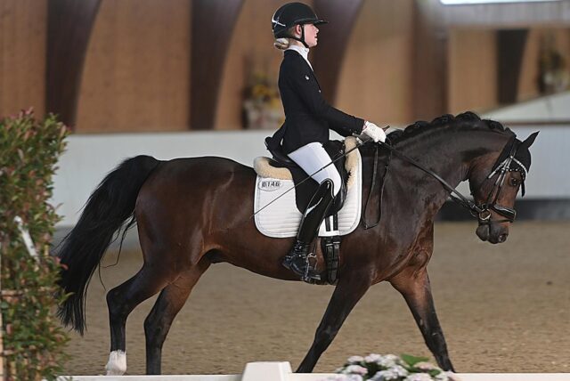 Am Start beim Dressurturnier am Silverthof: Clara Rülling mit dem Wallach „Dreamer“.