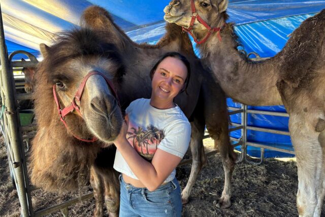 Circus Verona: Kamel Kenai holt sich bei Jessi Tränkler seine Schmuseeinheiten ab