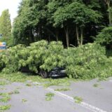 Ein umgestürzter Baum liegt auf einem Audi.