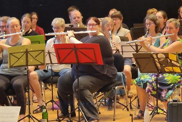 Ein Orchester spielt.