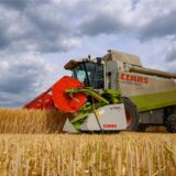 Die Landwirte in Haltern haben mit der Ernte der Gerste begonnen.