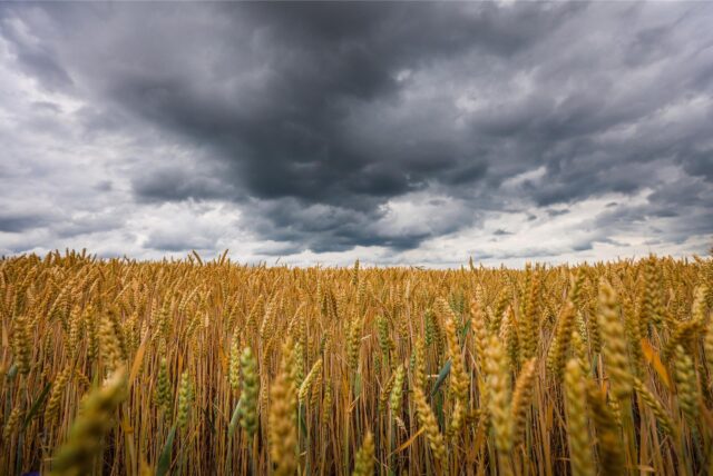 Es kann krachen: Für Haltern am See hat der Deutsche Wetterdienst eine Unwetterwarnung herausgegeben.