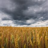 Es kann krachen: Für Haltern am See hat der Deutsche Wetterdienst eine Unwetterwarnung herausgegeben.