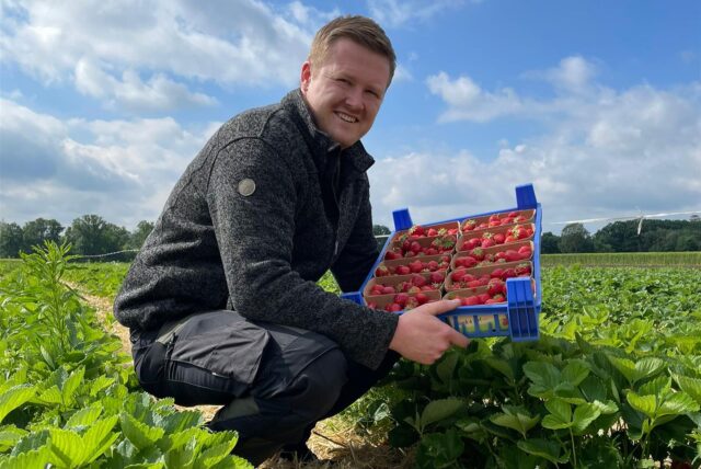 Felix Aldenhoff mit Erdbeeren in Dorsten