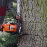 Ein Mann fällt einen Baum mit einer Kettensäge.