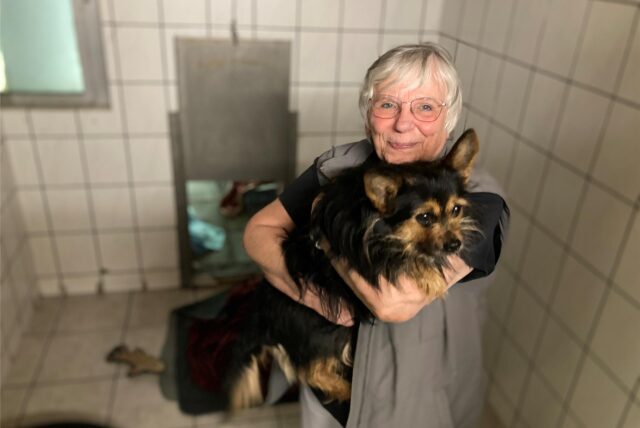 Annegret Gellenbeck, Vorsitzende des Tierschutzvereins, schlägt Alarm: Für Hunde wie Chico ist im Tierheim aktuell zu wenig Platz, dieser Raum ist außerdem zu dunkel.
