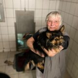Annegret Gellenbeck, Vorsitzende des Tierschutzvereins, schlägt Alarm: Für Hunde wie Chico ist im Tierheim aktuell zu wenig Platz, dieser Raum ist außerdem zu dunkel.
