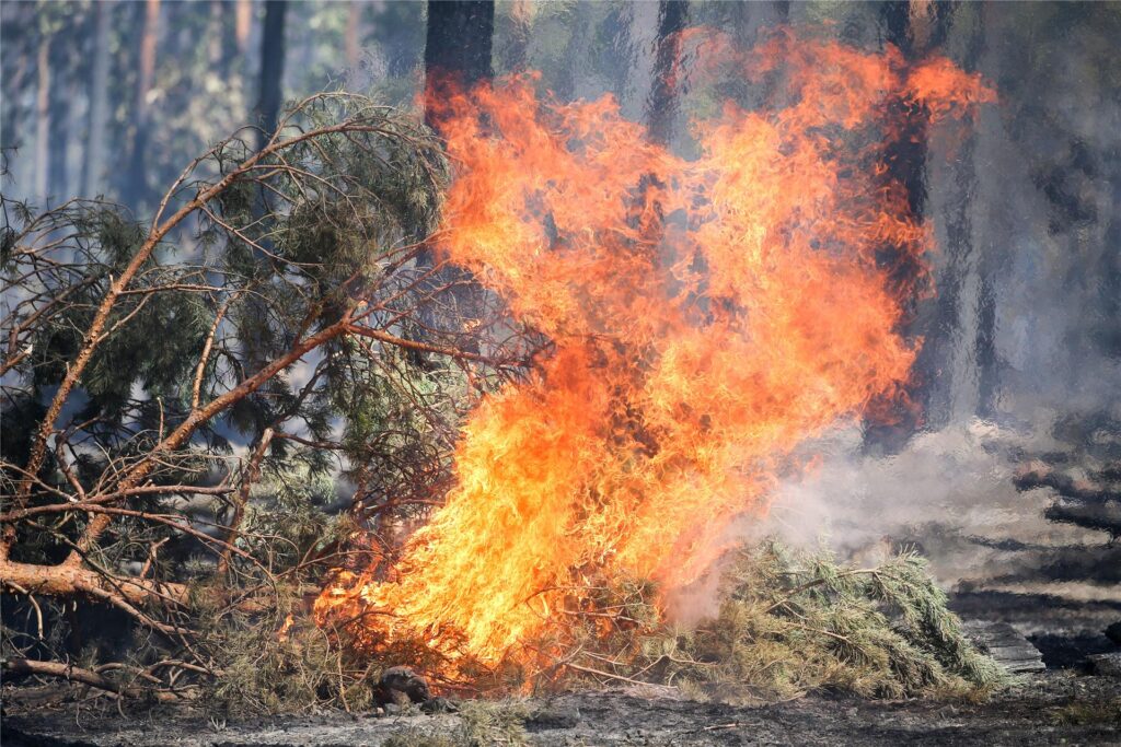 Es brennt in einem Wald. Zur Bekämpfung benötigt die Feuerwehr oft spezielles Material. Es brennt in einem Wald. Zur Bekämpfung benötigt die Feuerwehr oft spezielles Material.