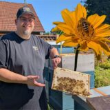 Imker Patrick Kramer hält eine Wabe seines Bienenstocks in der Hand.